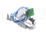 S1-02532780000 York Pilot Ignitor Assembly