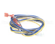 S1-02538246002 York Wiring Harness,S3-Rw/Mv