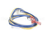 S1-02538246002 York Wiring Harness,S3-Rw/Mv
