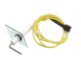 S1-02538950000 York Sensor,Flame,W/34" Lead