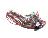 S1-02541032000 York Wiring Harness,Control,S12,S13,S14,S4