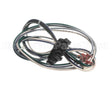 S1-02542647000 York Harness,Motor,Power
