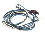 S1-02549262000 York Harness,Pressure Transducer,Low,Od