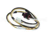 S1-02549264000 York Harness,Pressure Transducer,Low,Id