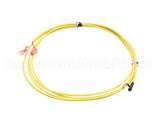 S1-02549696000 York Sensor,Temp,10Ft Lead,Male,W/ Clip