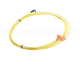 S1-02549696000 York Sensor,Temp,10Ft Lead,Male,W/ Clip