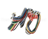 S1-02551481000 York Wiring Harness,Furn
