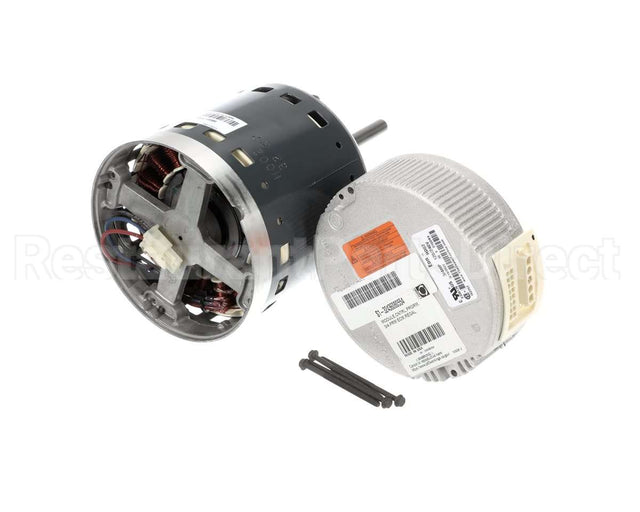 S1-32436074554 York Mtr,Blw,Prgrm,3/4,Prm Ecm,Regal