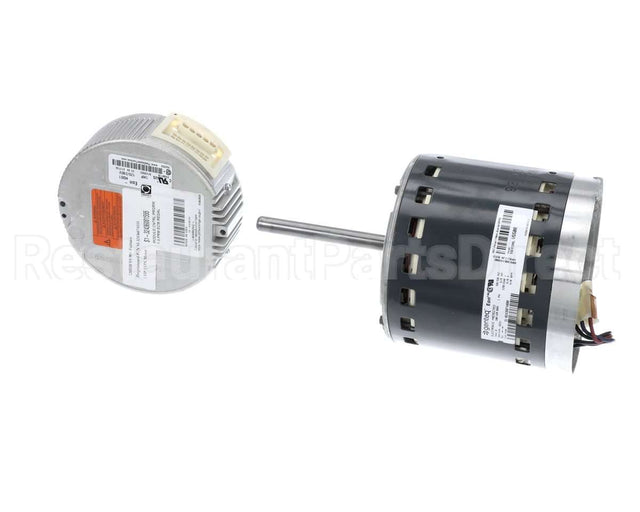 S1-32436074555 York Mtr,Blw,Prgrm,1.0,Prm Ecm,Regal