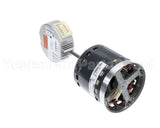 S1-32436074555 York Mtr,Blw,Prgrm,1.0,Prm Ecm,Regal