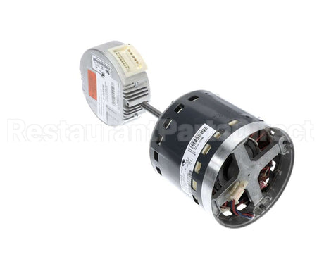 S1-32436074555 York Mtr,Blw,Prgrm,1.0,Prm Ecm,Regal