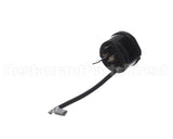 S2828 Cornelius Overld