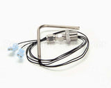 SB7656 Bki Thermister Probe/Fittings Assembly Fkm