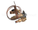 SBFSEAC Heatcraft Txv