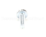 SC-113-96 Hobart Screw