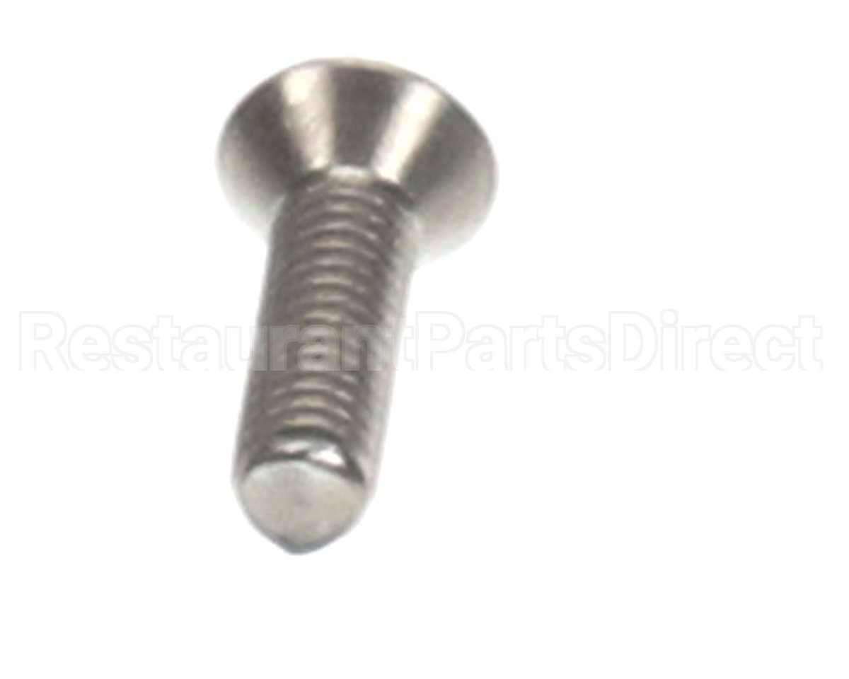 SC-23102 Alto Shaam Screw,M3X0.5X10Mm Flat