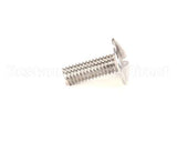 SC-27125 Alto Shaam Screw,M6X1X16Mm Trh