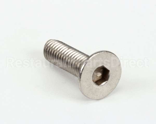 SCR437 Bki Screw,M6 X 22 Soc Flt