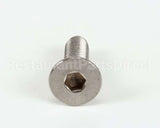 SCR437 Bki Screw,M6 X 22 Soc Flt