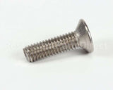 SCR437 Bki Screw,M6 X 22 Soc Flt