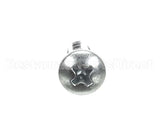 SD-008-25 Hobart Drive Screw
