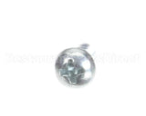 SD-008-43 Hobart Drive Screw