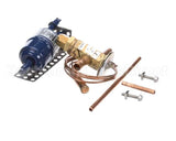 SER-60080-37 Traulsen Termal Expansion Valve & Drier Kit