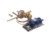 SER-60080-37 Traulsen Termal Expansion Valve & Drier Kit