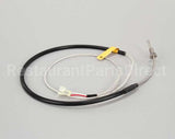 SK2345100 Cleveland Temp Sensor; Rtd (Tr)