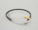 SK2345100 Cleveland Temp Sensor; Rtd (Tr)