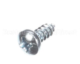 SL300950583 Carpigiani Zinc Screw Din 7981 B35X95