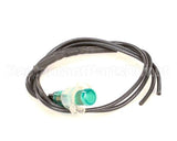 SL300951253 Carpigiani Green Light Pilot 110V Ul Wfl
