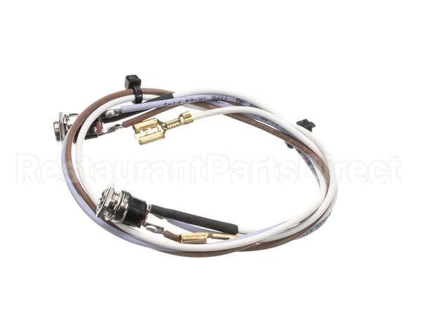 SL300970252 Carpigiani Full Lid Wiring Gbcold