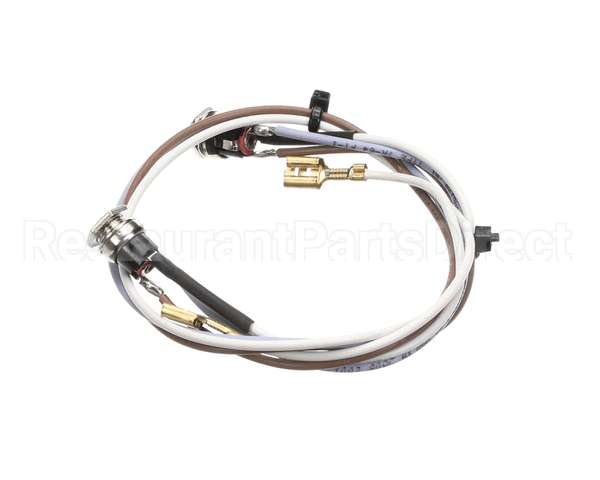 SL300970252 Carpigiani Full Lid Wiring Gbcold