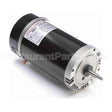 SN1202 Century Pool And Spa Pump Motor
