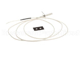 SON30006 Axis Temp Probe
