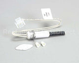 SP12143 Rheem Ignitor Rheem