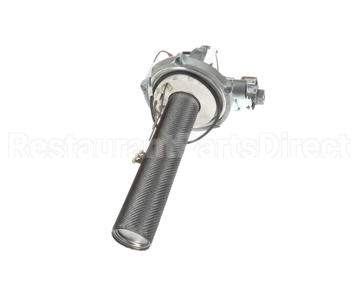 SP21001A Rheem Combustin Assy Nat