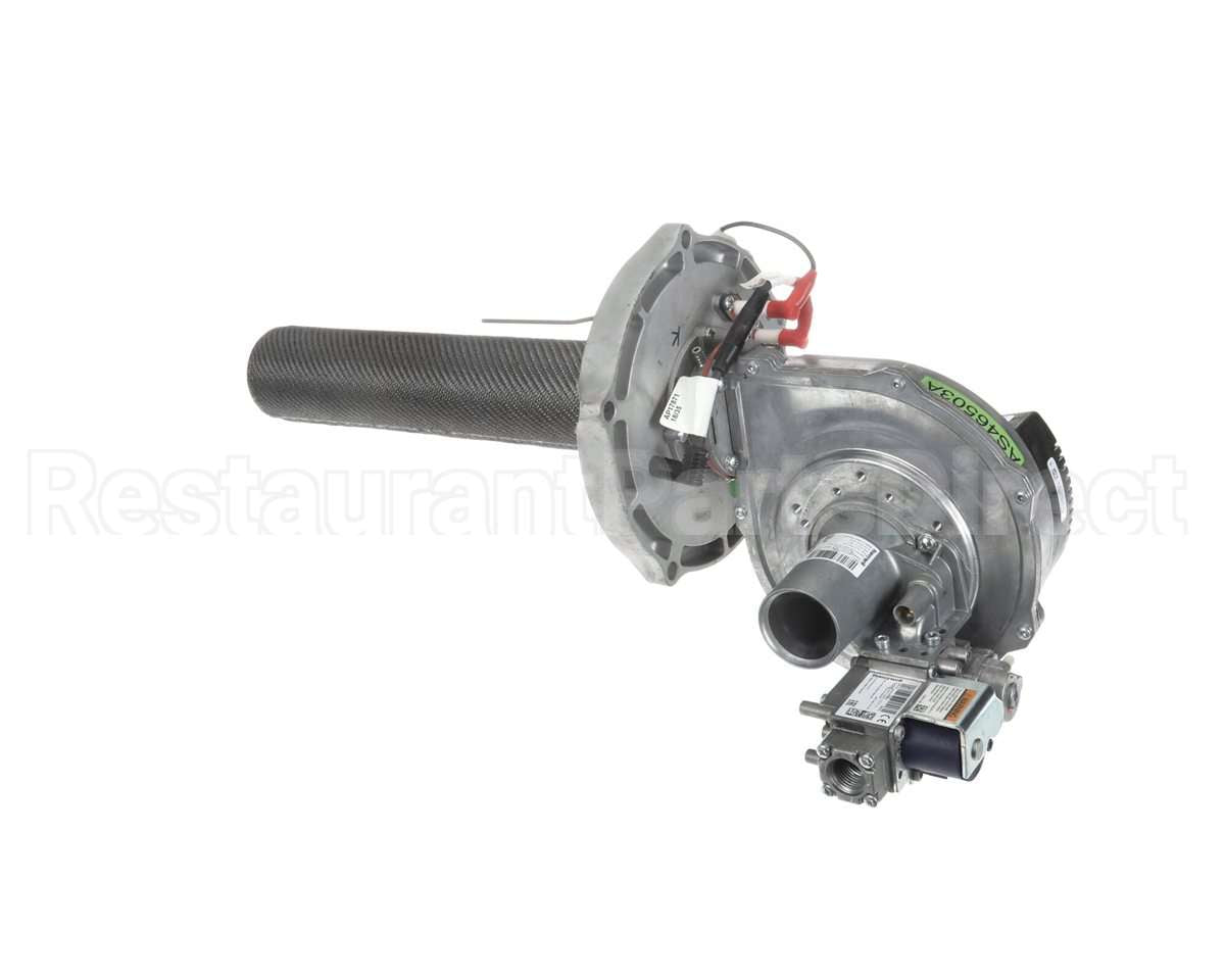 SP21001A Rheem Combustin Assy Nat