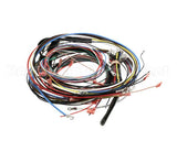ST400021 Cleveland Service Wiring Harness Tket12T