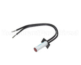 SY9-31601-01-1 Lang Pilot Lt 250V W/Tin Clip