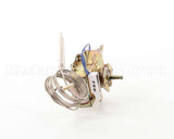 T0002 Bki Thermostat, 208V 300D W/Pl Dpo