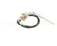 T0187 Bki Temperature Probe, 100 Ohm, Rt