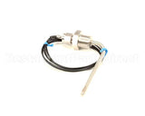 T0187 Bki Temperature Probe, 100 Ohm, Rt