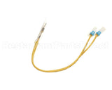 T8F6200301 Turbo Air Thermal Fuse