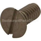 TS000921-45 Compatible TS Brass Screw - Spray Face