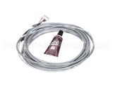 TS002 Hoshizaki Ts002 Thermistor Wit