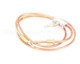 TT-33261 Alto Shaam I,Thermocouples,Ct,Interrupt