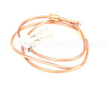 TT-33261 Alto Shaam I,Thermocouples,Ct,Interrupt