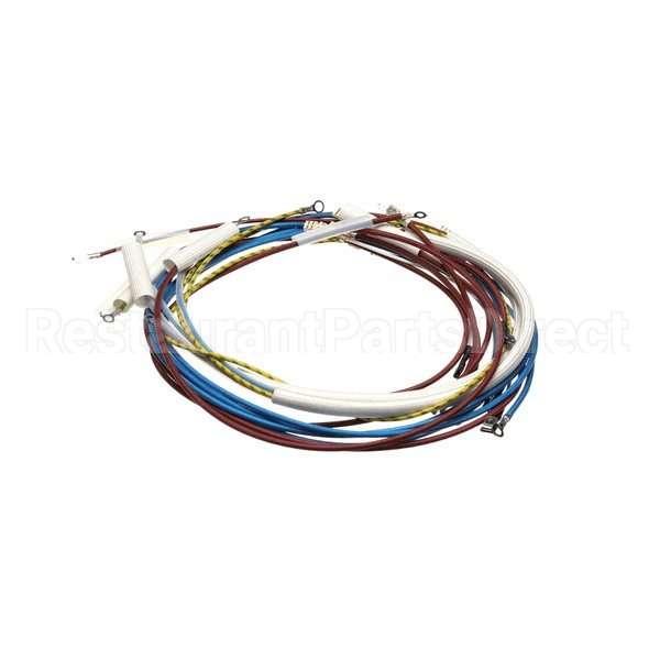 U00700 Compatible Globe Wiring Kit